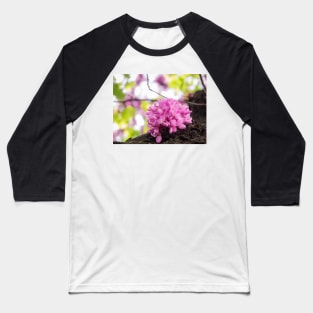 Rosebud Baseball T-Shirt